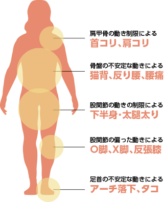 肩甲骨の動き制限による首コリ、肩コリ/骨盤の不安定な動きによる猫背、反り腰、腰痛/股関節の動きの制限による下半身・太腿ふとり/股関節の偏った動きによるO脚、X脚、反張膝/足首の不安定な動きによるアーチ落下、タコ