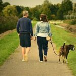 犬を連れて散歩するカップル