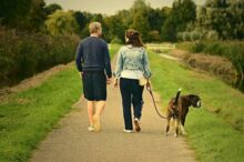 犬を連れて散歩するカップル