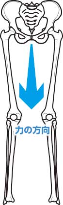 立っているときの力の方向