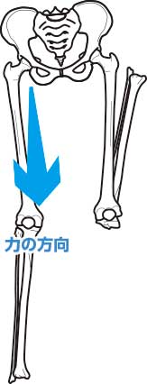 片足で立つときの力の方向