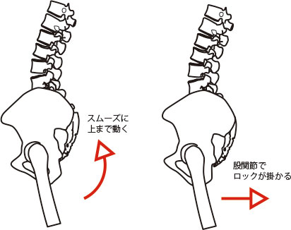 骨盤の動きの違い