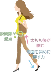 お尻から脚の裏側全体で地面を押し出すBタイプの女性。骨盤を起点にお尻・太もも裏・ふくらはぎが収縮し、力が体の中心から前方へ効率よく伝わっている様子が描かれている。